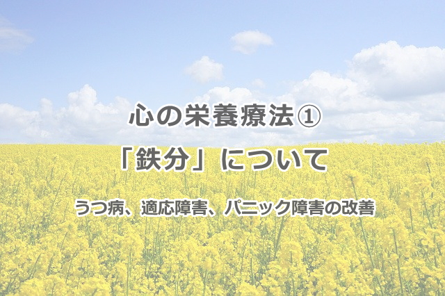 鉄分 について うつ病 適応障害 パニック障害の改善 神戸心理カウンセリングオフィス